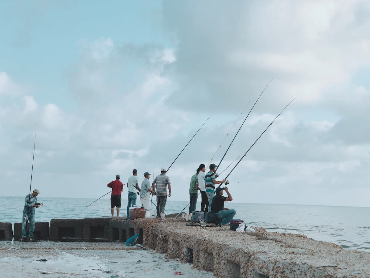 group of people fishing